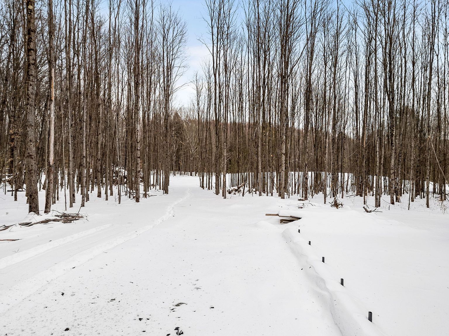 100 Monkey Run Rd Pt Crane, NY 13833 - Thumbnail 4