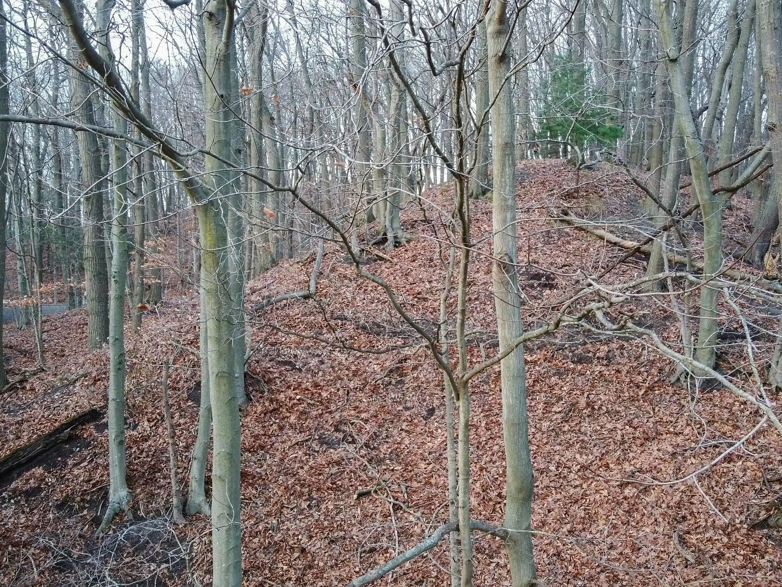 18200 N Shore Estates Rd Spring Lake, MI 49456 - Thumbnail 4