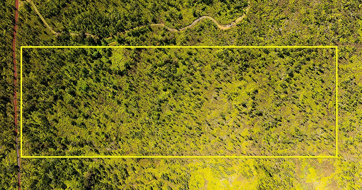 Waimaka O Pele Rd Mountain View, HI 96771 - Thumbnail 4