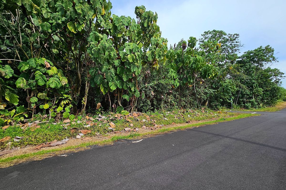 Papai St LOT 4 Pahoa, HI 96778 - Thumbnail 4