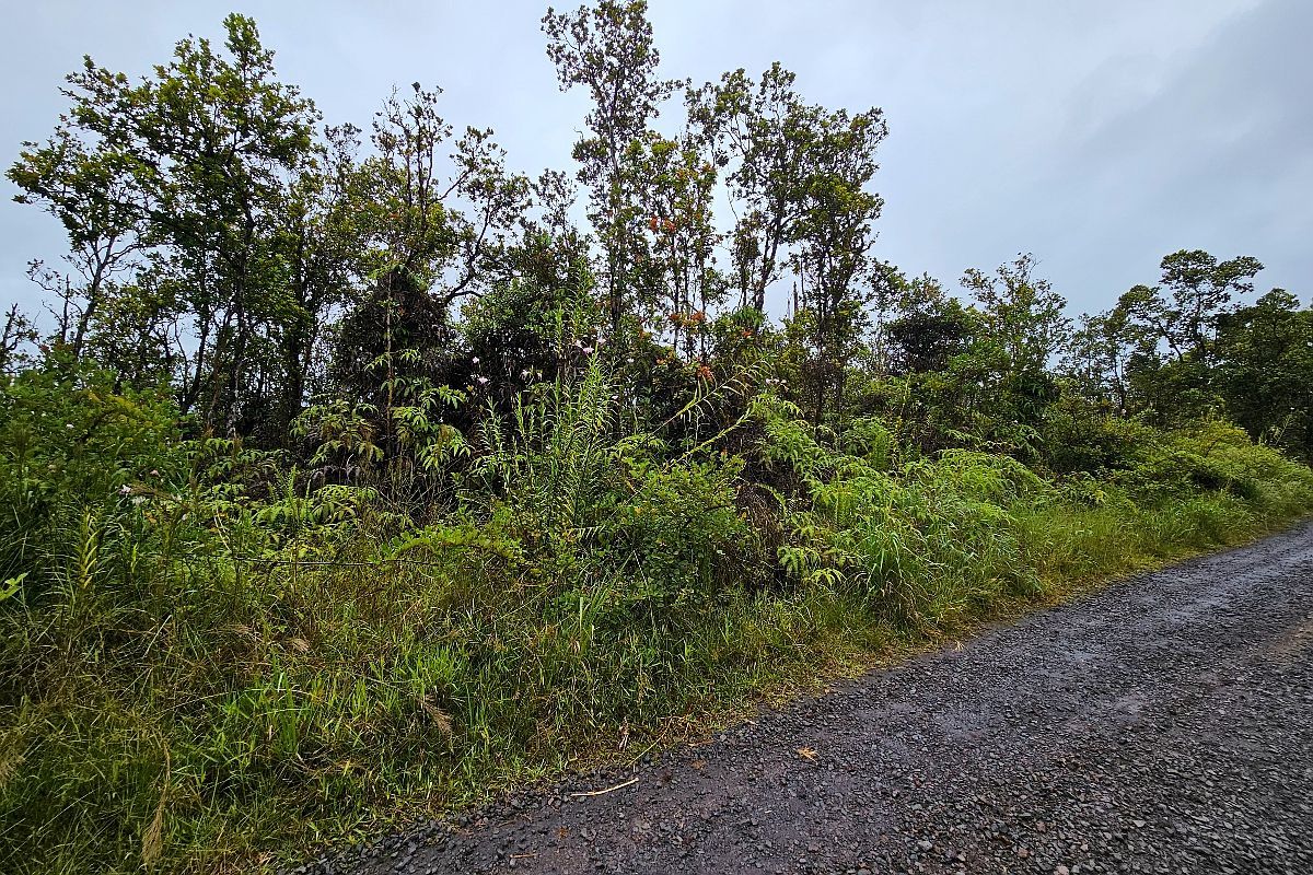 Makoa Rd Lot 5 Volcano, HI 96785 - Thumbnail 4