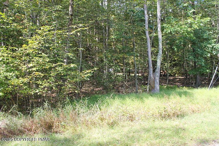 Omaha Trl #22 Pocono Lake, PA 18347 - Thumbnail 4