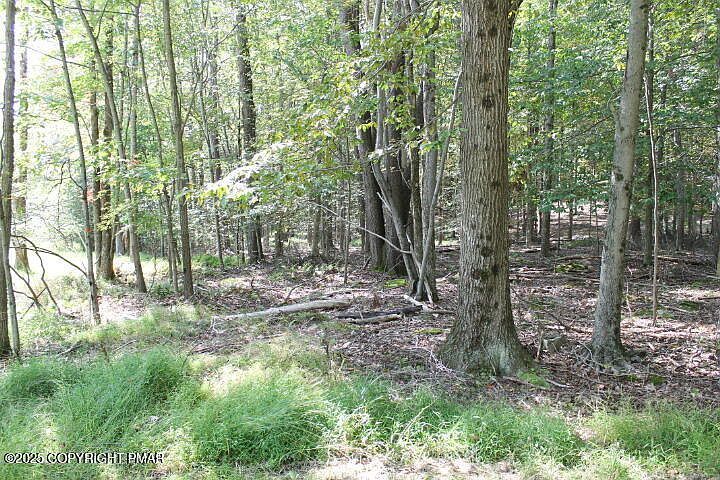 Omaha Trl #21 Pocono Lake, PA 18347 - Thumbnail 4