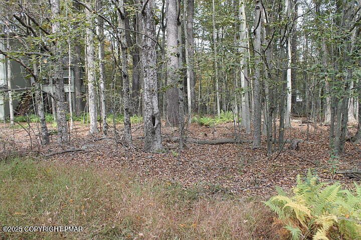 Paxino South Dr #DR1-6 Pocono Lake, PA 18347 - Thumbnail 4