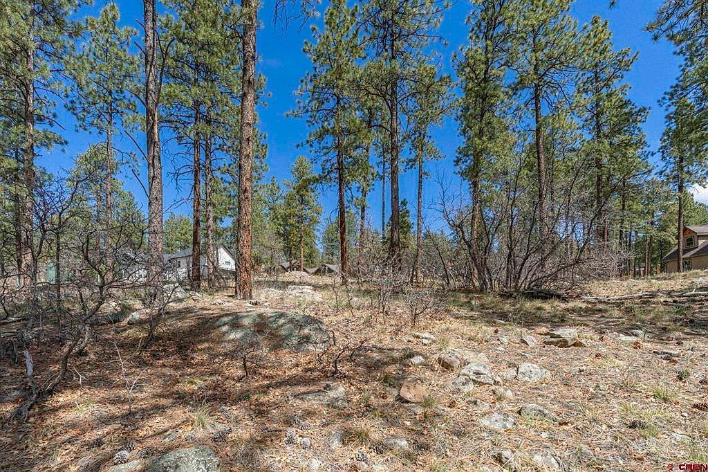 140 Cabin Creek Dr Durango, CO 81301 - Thumbnail 4