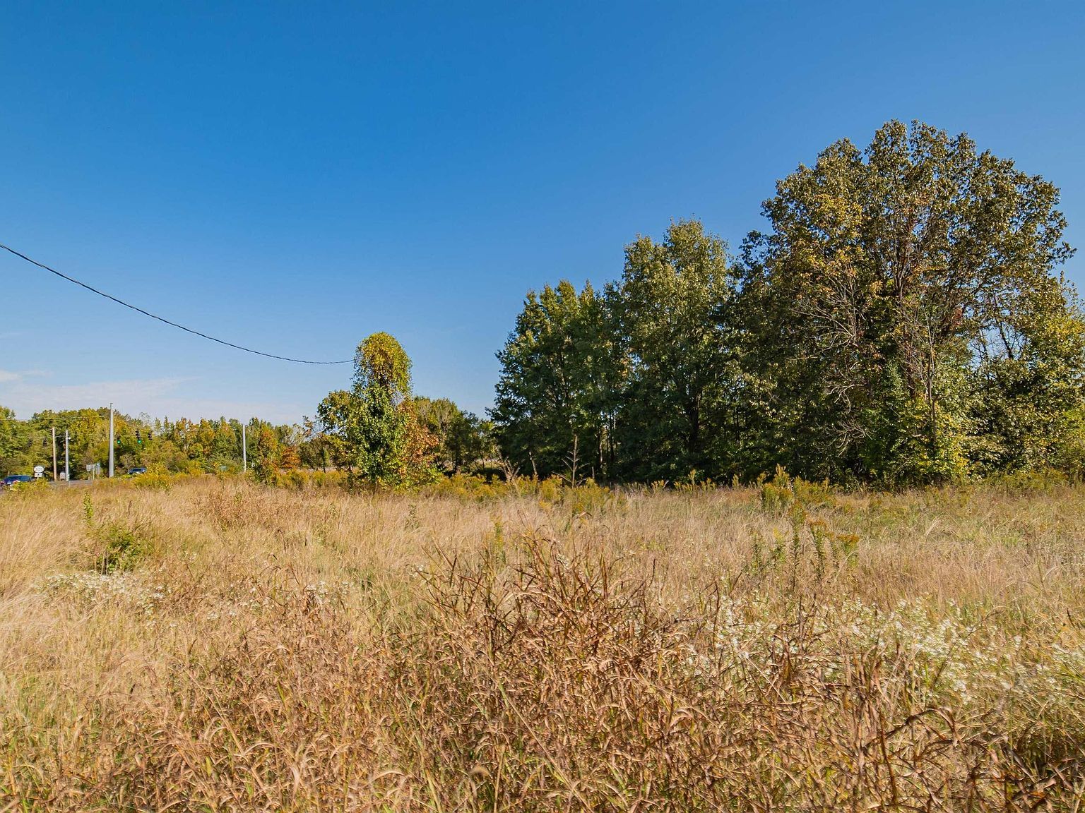 8635 Cairo Rd West Paducah, KY 42086 - Thumbnail 4