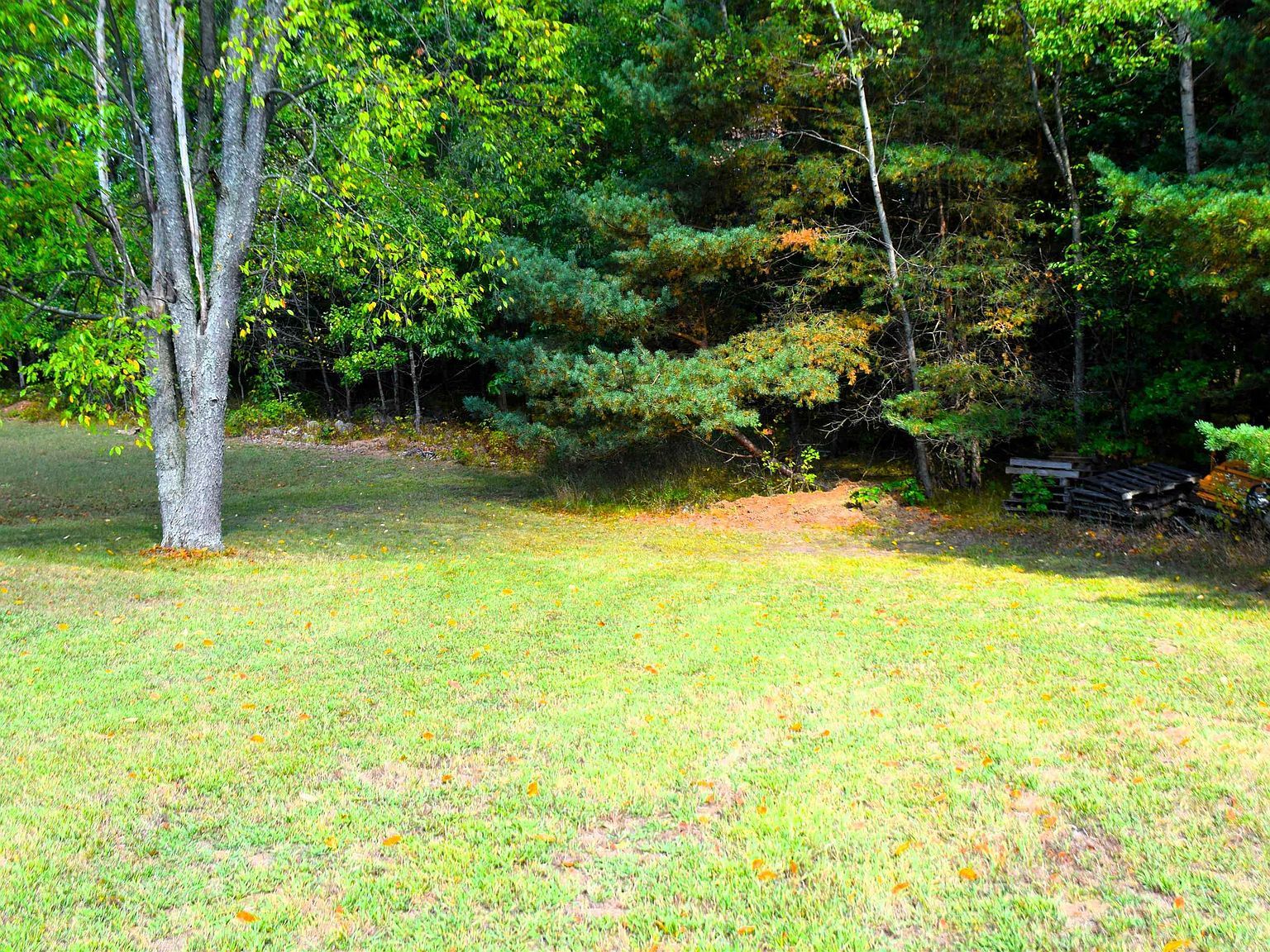 8568 W Ludington Dr Lake, MI 48632 - Thumbnail 4