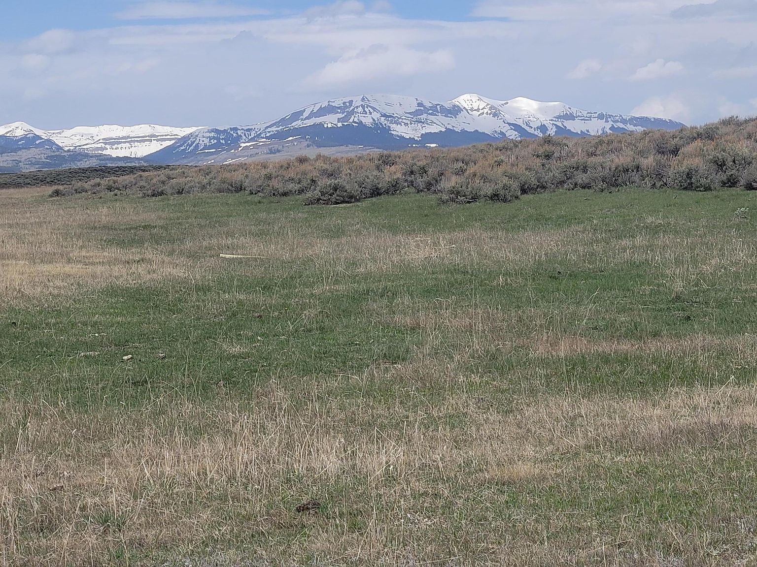 Cottonwood Rye Grass #23-117 Daniel, WY 83115 - Thumbnail 4