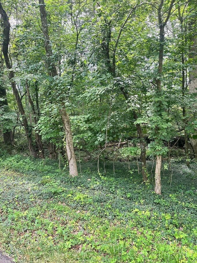 0 Horse Shoe Dr Sardinia, OH 45171 - Thumbnail 4