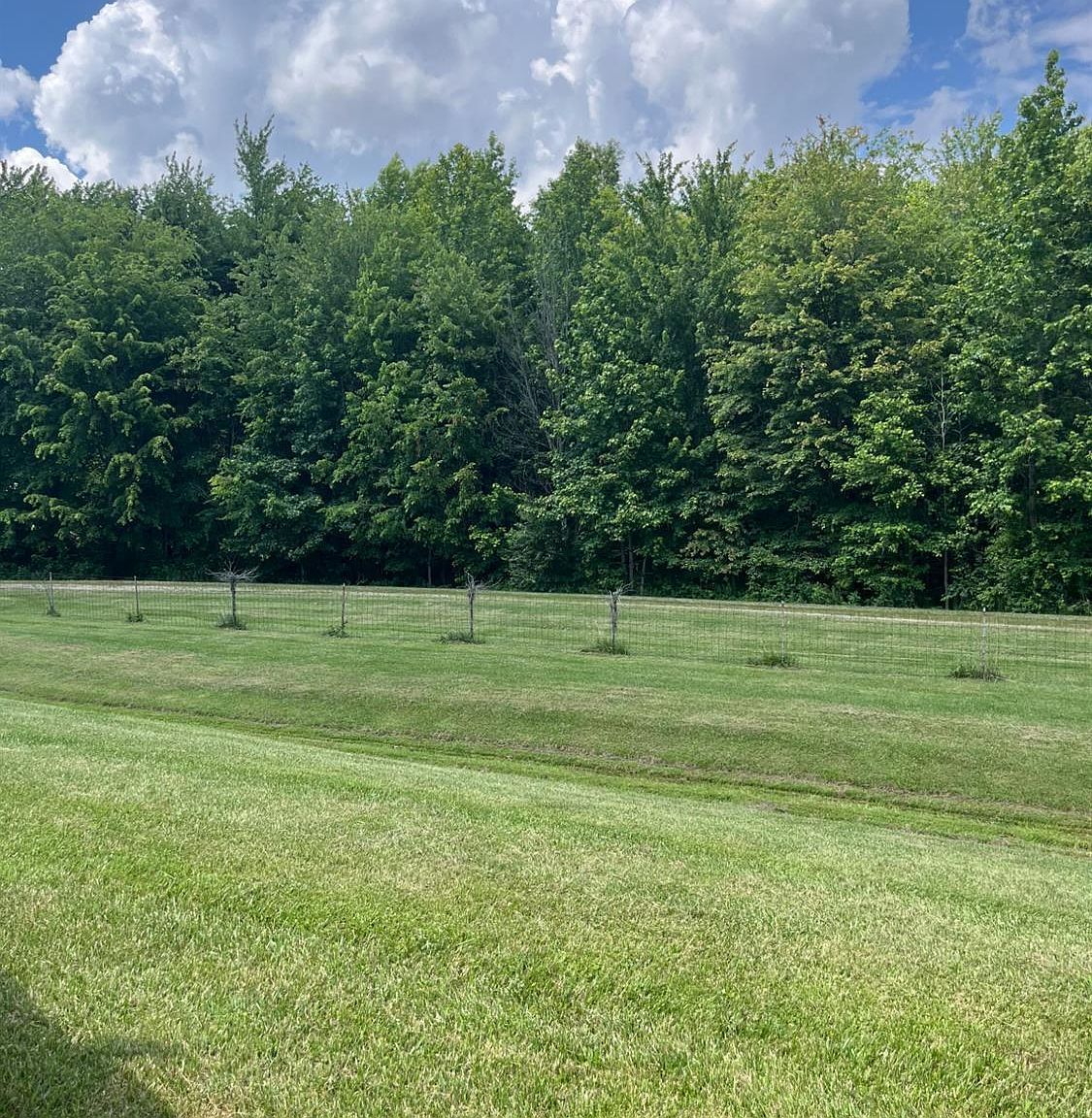 13 Frye Rd Sardinia, OH 45171 - Thumbnail 4