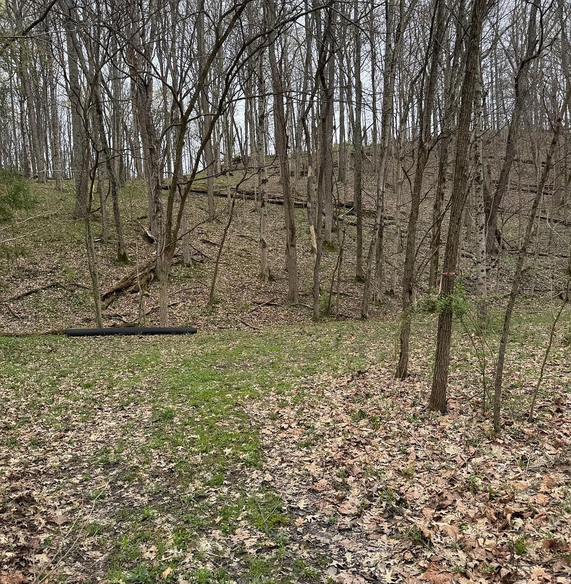 6 Stony Hollow Rd Georgetown, OH 45121 - Thumbnail 4