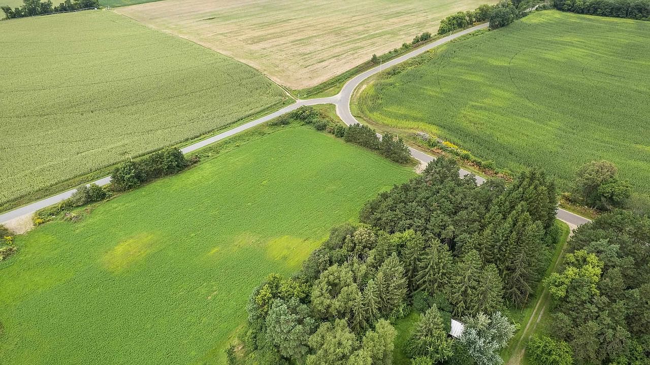 1333 Legends Ln Custer, WI 54423 - Thumbnail 4