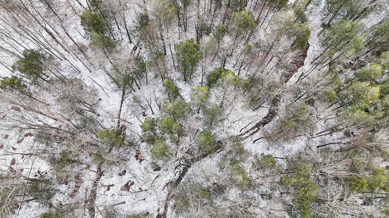 0 Lamb Rd Newark Valley, NY 13811 - Thumbnail 4