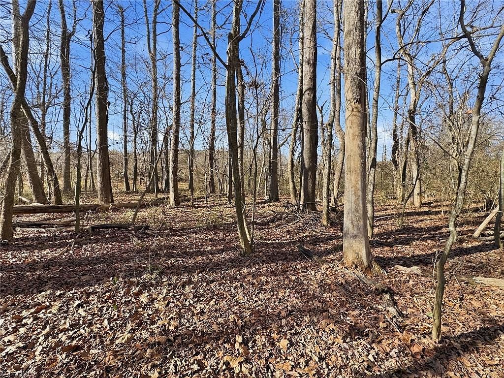 0 S Peace Haven Rd Winston Salem, NC 27104 - Thumbnail 4