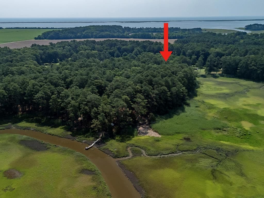 LOT 24 Barnes Cir Parksley, VA 23421 - Thumbnail 4