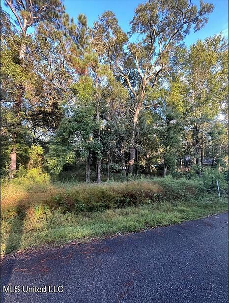 0 Dorothy St Ocean Springs, MS 39564 - Thumbnail 4