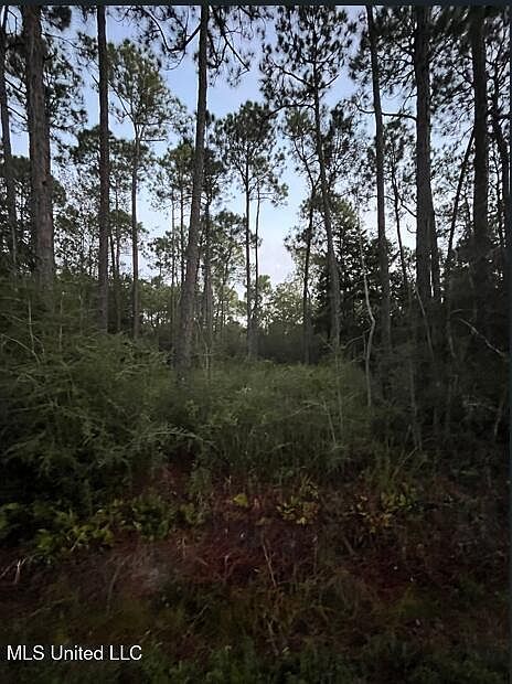 0 18th St Pass Christian, MS 39571 - Thumbnail 4