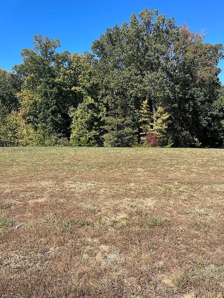 0 Kyle Road Southern Shores Point LOT 103 Huntingdon, TN 38344 - Thumbnail 4