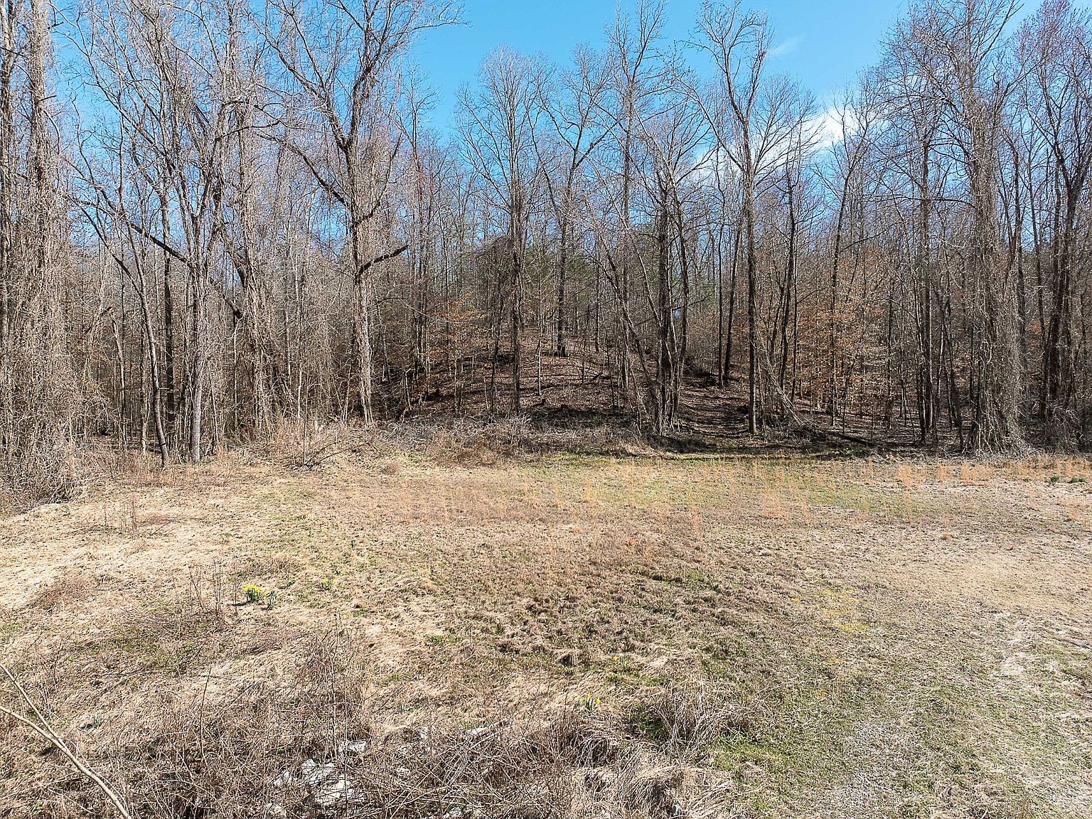 0 Highway 70 Huntingdon, TN 38344 - Thumbnail 4