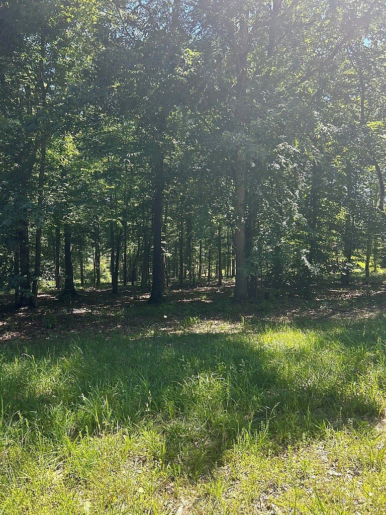 27 Sportsman Cv Huntingdon, TN 38344  | Land/Lot