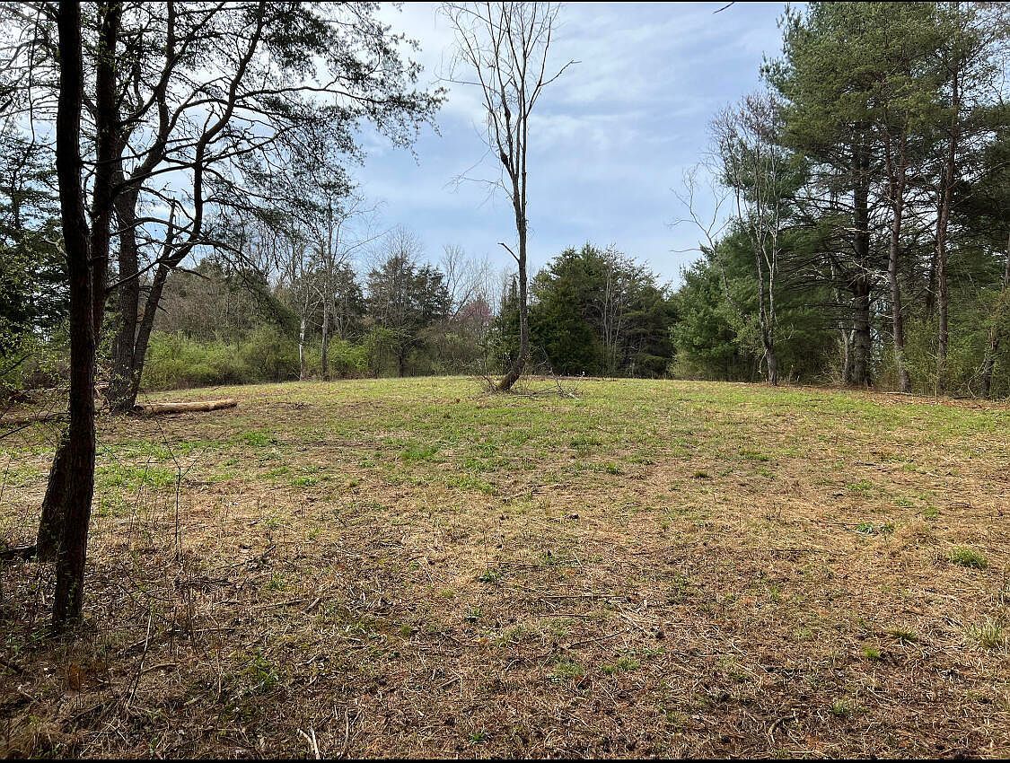 Grand View Dr Forest Hill, WV 24935  | Land/Lot
