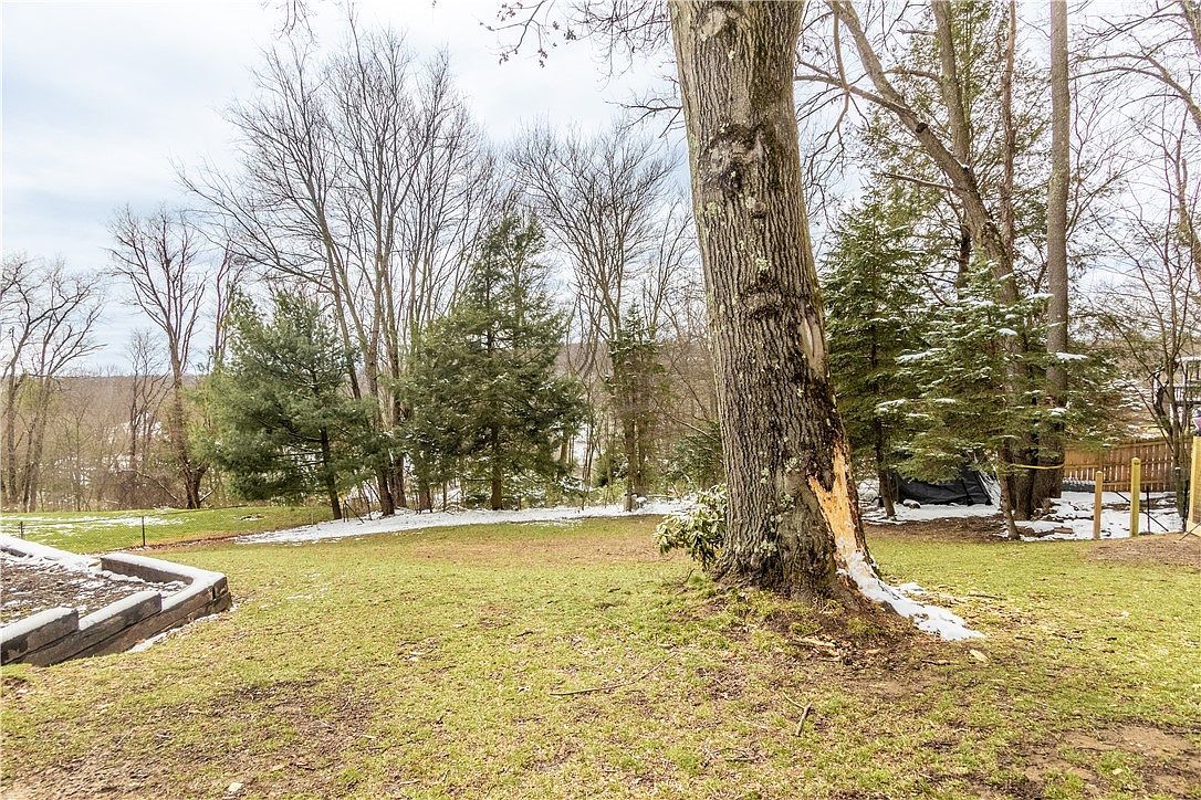 103 Daum Ln Butler, PA 16001 - Thumbnail 4