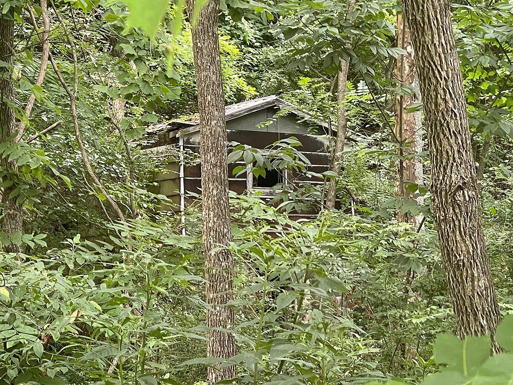 Drill Rd Honaker, VA 24260  | Land/Lot