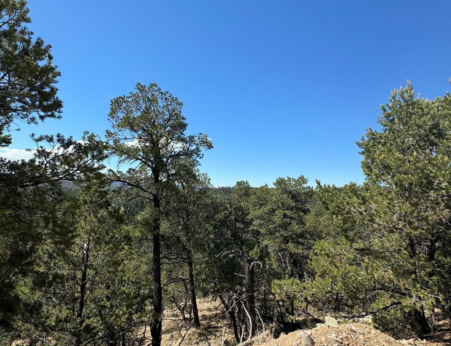 L10c Flute Player Alto, NM 88312 - Thumbnail 4