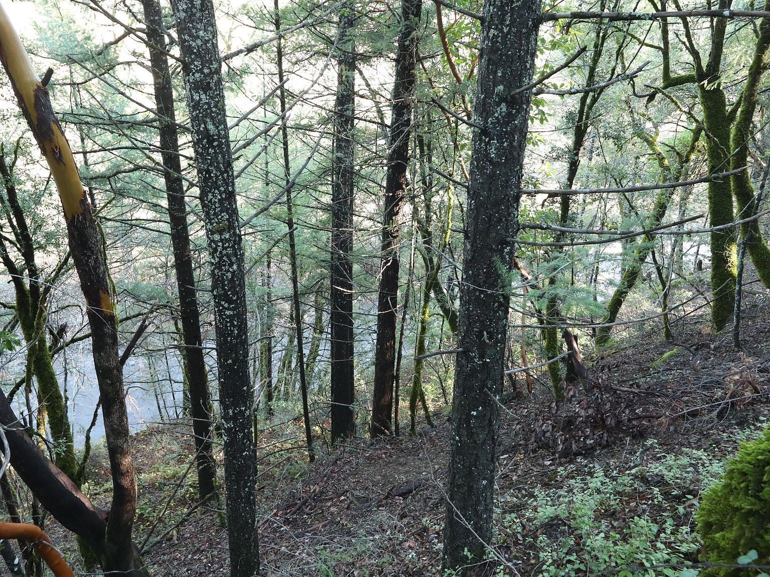 0 Kimlarry Ln Bella Vista, CA 96008 - Thumbnail 4