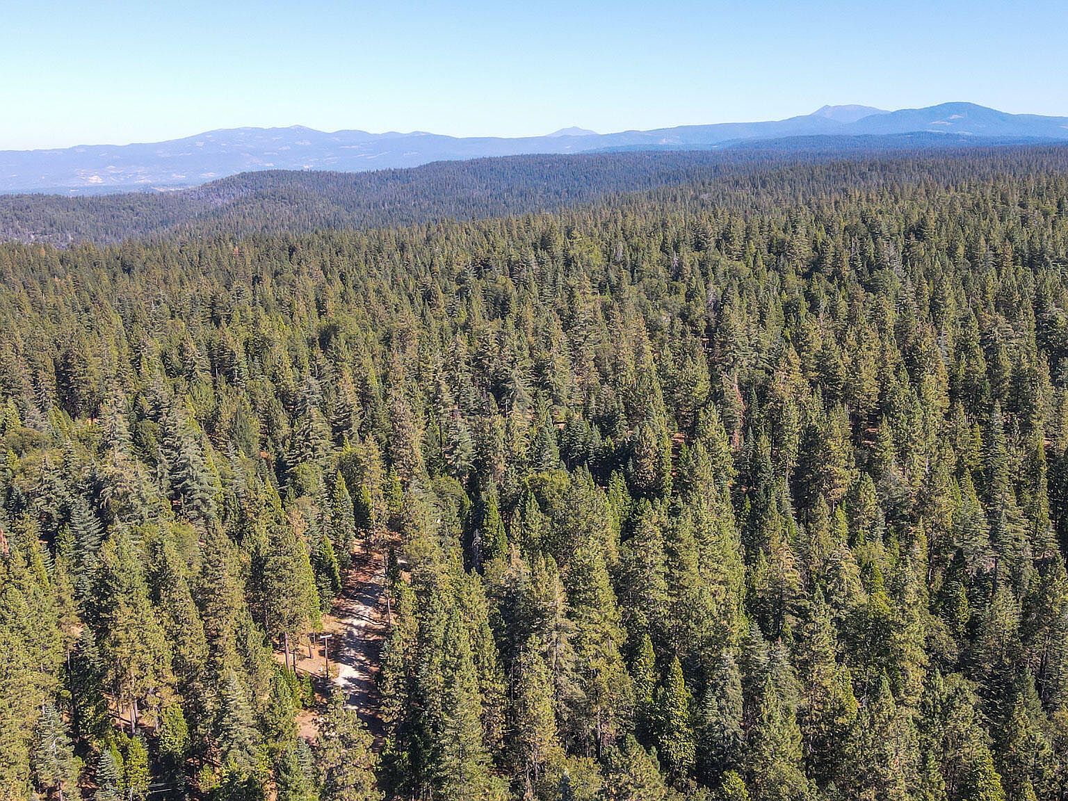 0 State Highway 44 Shingletown, CA 96088 - Thumbnail 4