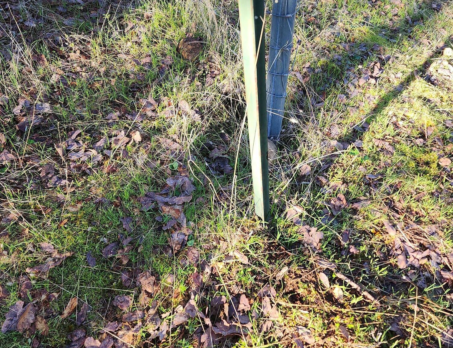 762 Branstetter Ln Redding, CA 96001 - Thumbnail 4