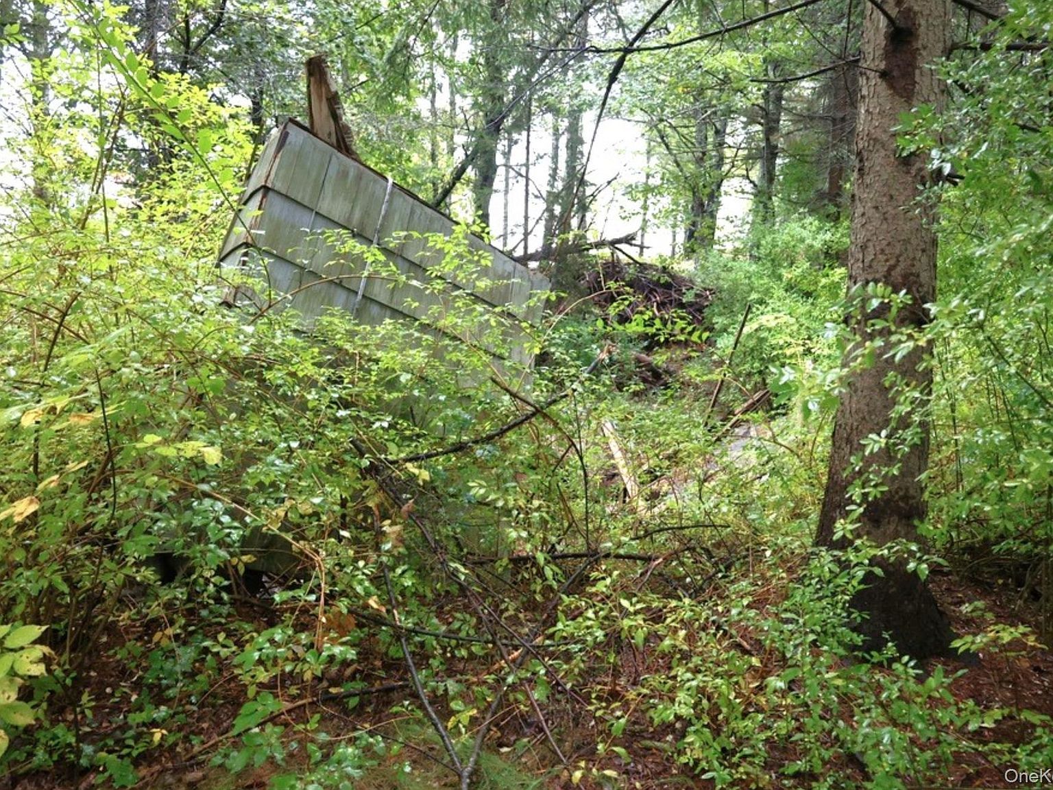 6067 Route 81 Greenville, NY 12083 - Thumbnail 4