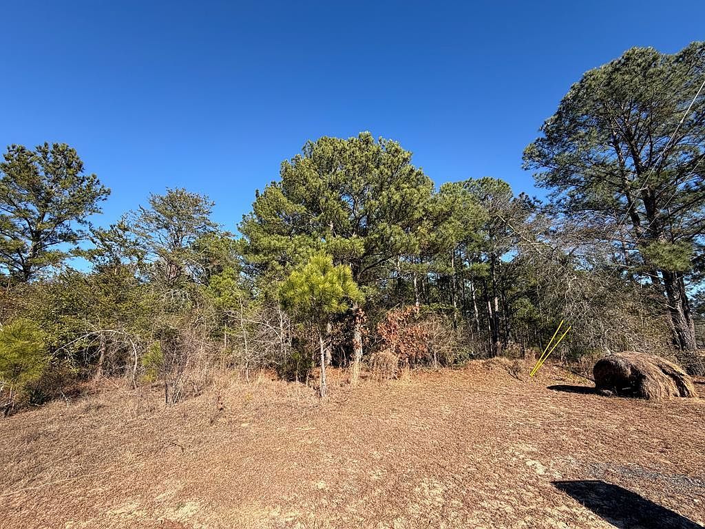 0 Bridlepath Ln Box Springs, GA 31801 - Thumbnail 4