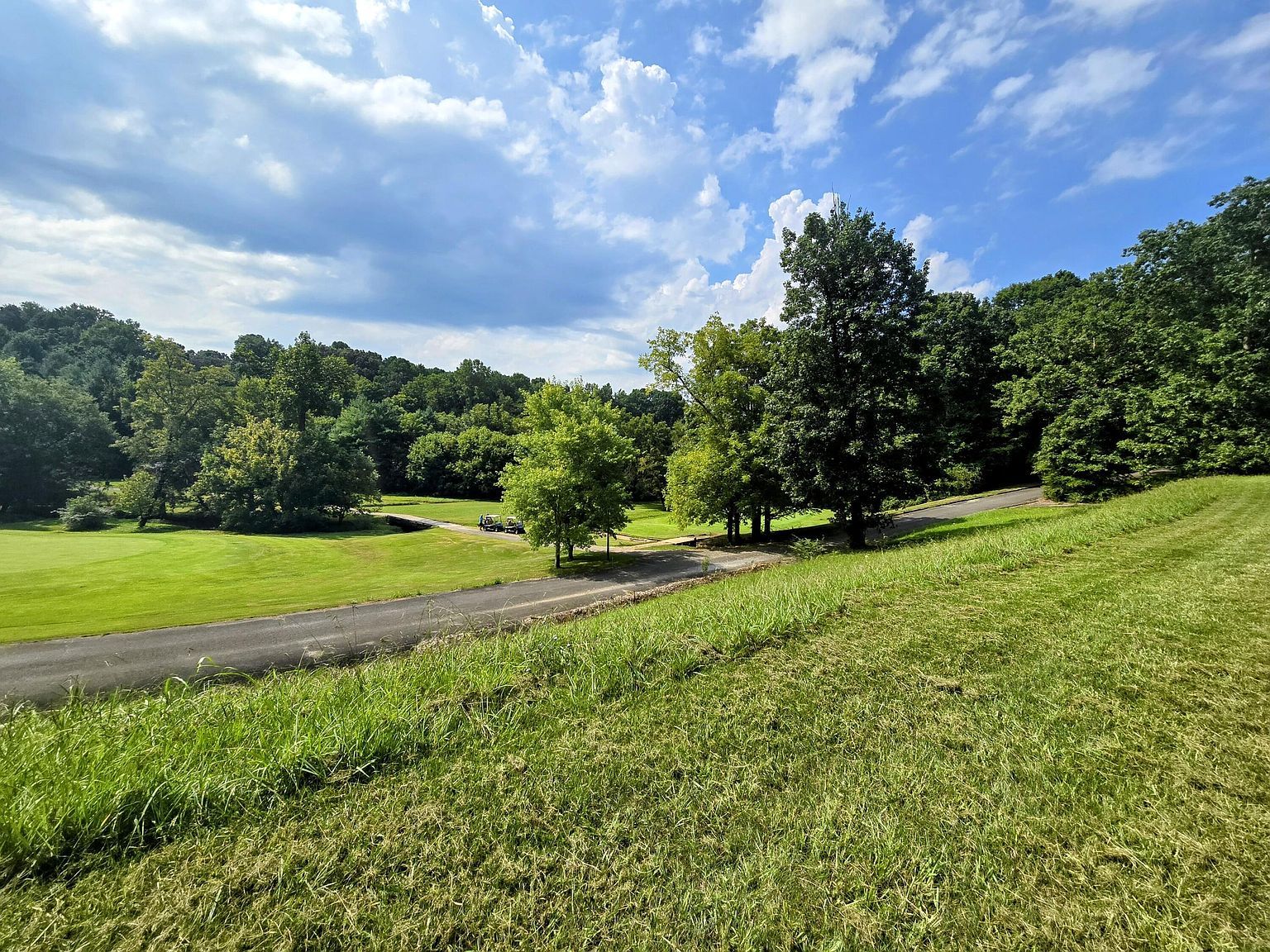 2042 Willow Springs Dr Athens, TN 37303 - Thumbnail 4