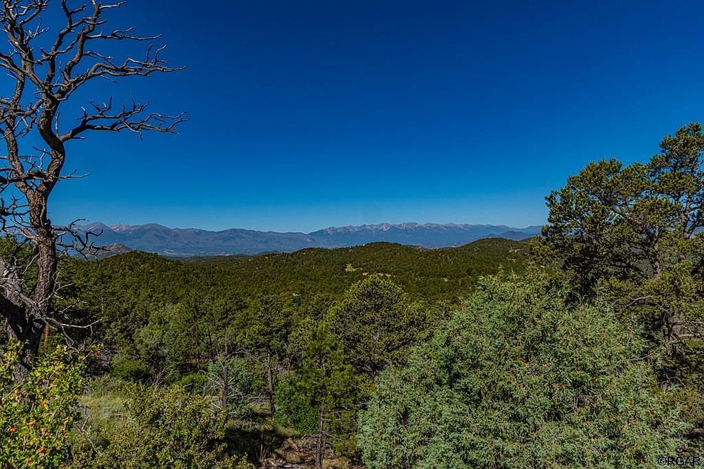 109 Cottonwood Dr Cotopaxi, CO 81223 - Thumbnail 4