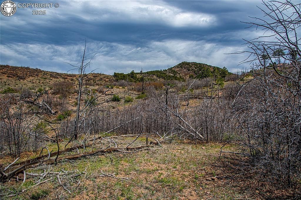 221 Cottonwood Dr Cotopaxi, CO 81223 - Thumbnail 4