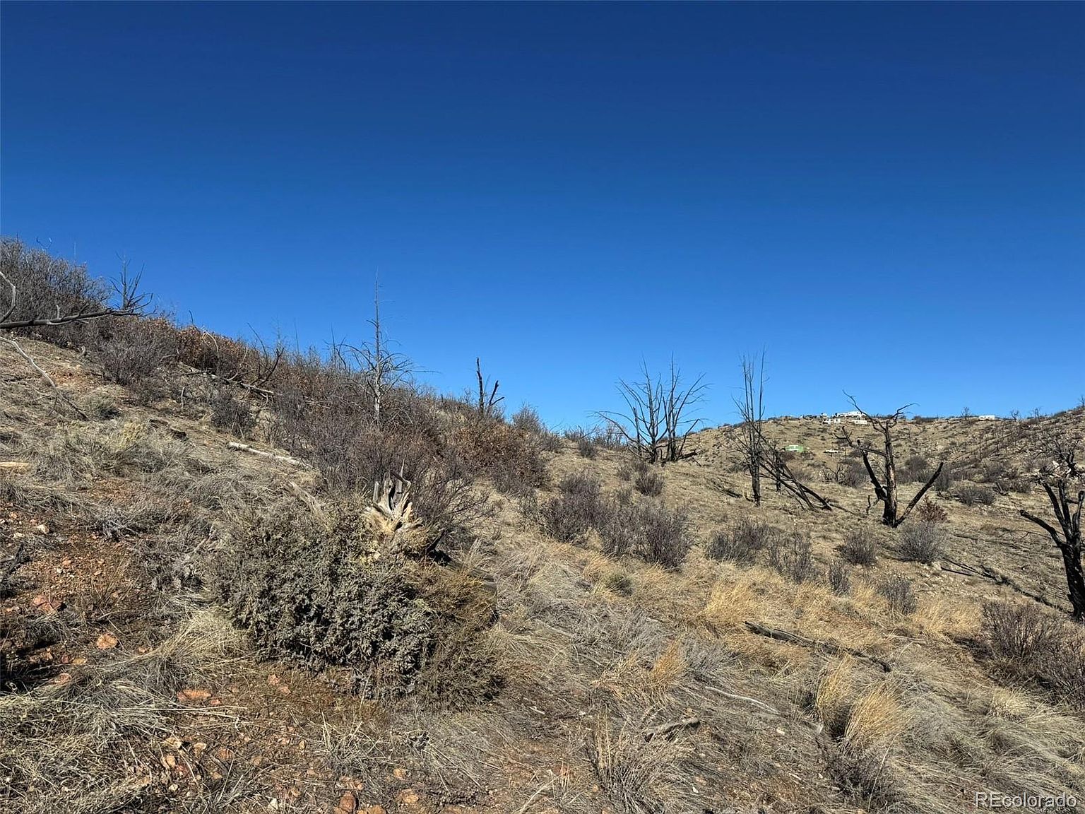 F Path And 37th Trl Cotopaxi, CO 81223 - Thumbnail 4