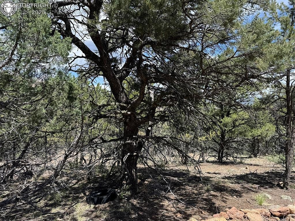 33rd Trl Cotopaxi, CO 81223 - Thumbnail 4