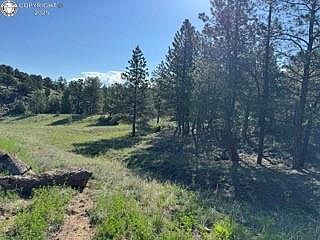 69 Coyote Run Cotopaxi, CO 81223 - Thumbnail 4