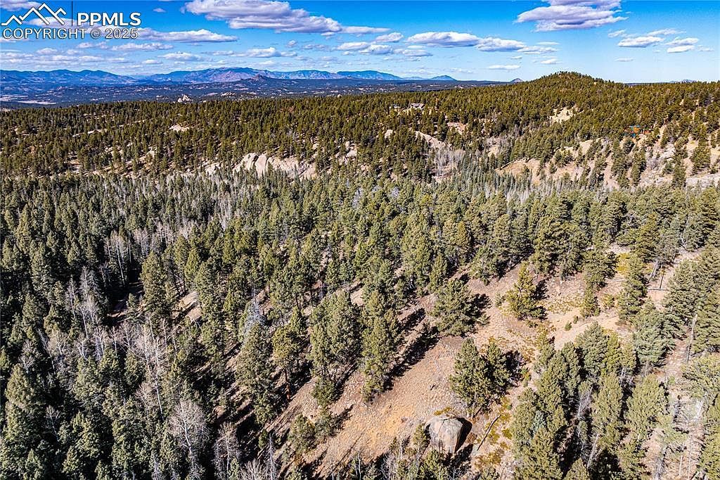 Tbd Arrowhead Rd Florissant, CO 80816 - Thumbnail 4