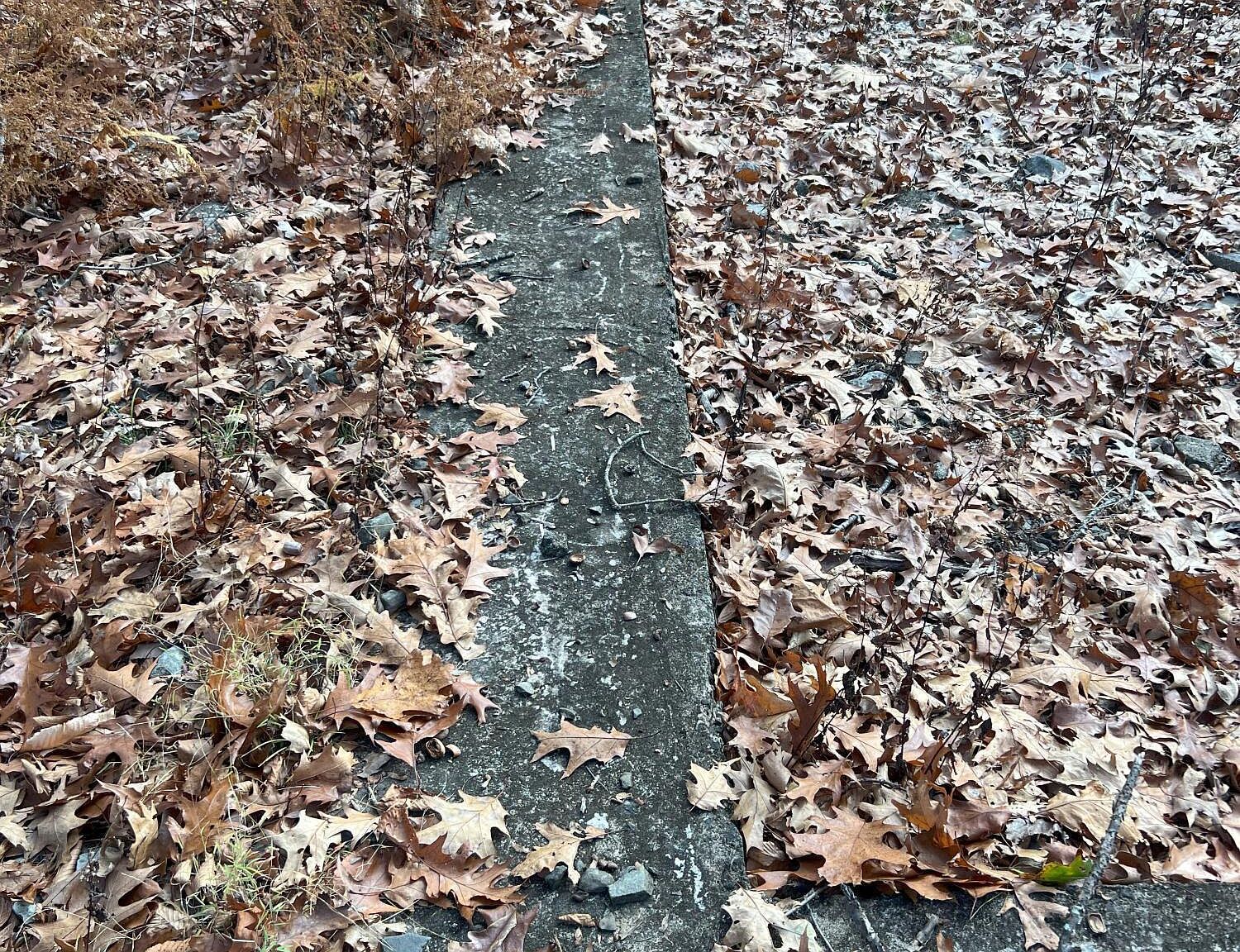 LOT 560 Sparrow Rd Bushkill, PA 18324 - Thumbnail 4