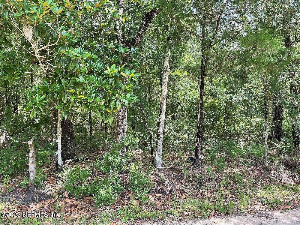 NE 140th Ave Waldo, FL 32694 - Thumbnail 4