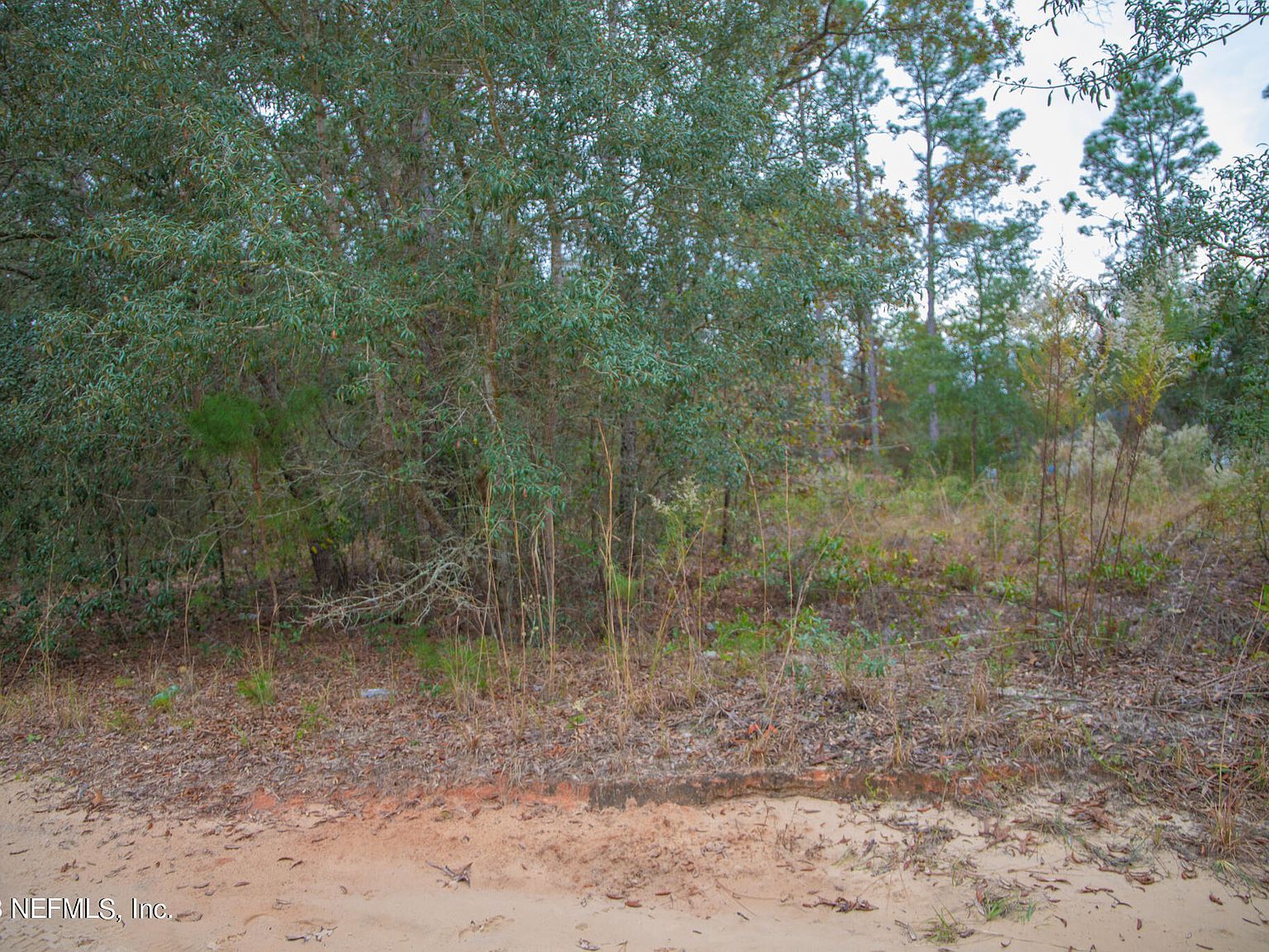 6099 Harvard Ave Keystone Heights, FL 32656 - Thumbnail 4