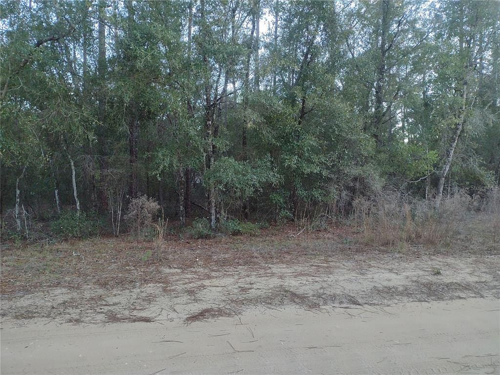 89 Tucker Lake Rd #23 Melrose, FL 32666 - Thumbnail 4