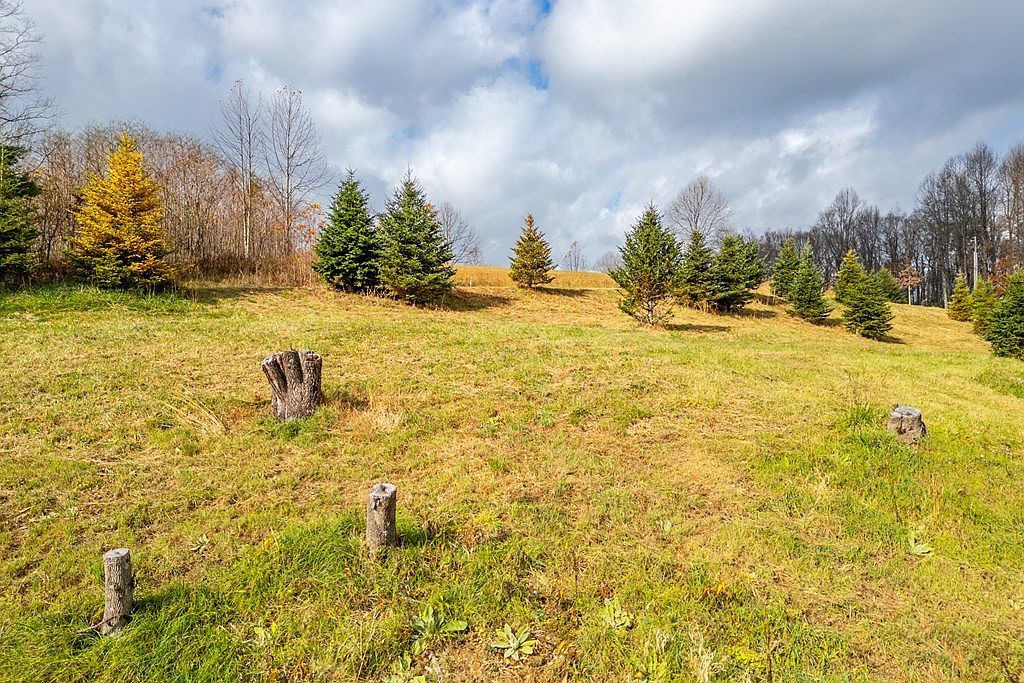 Tbd Dogwood Rdg Fancy Gap, VA 24328 - Thumbnail 4