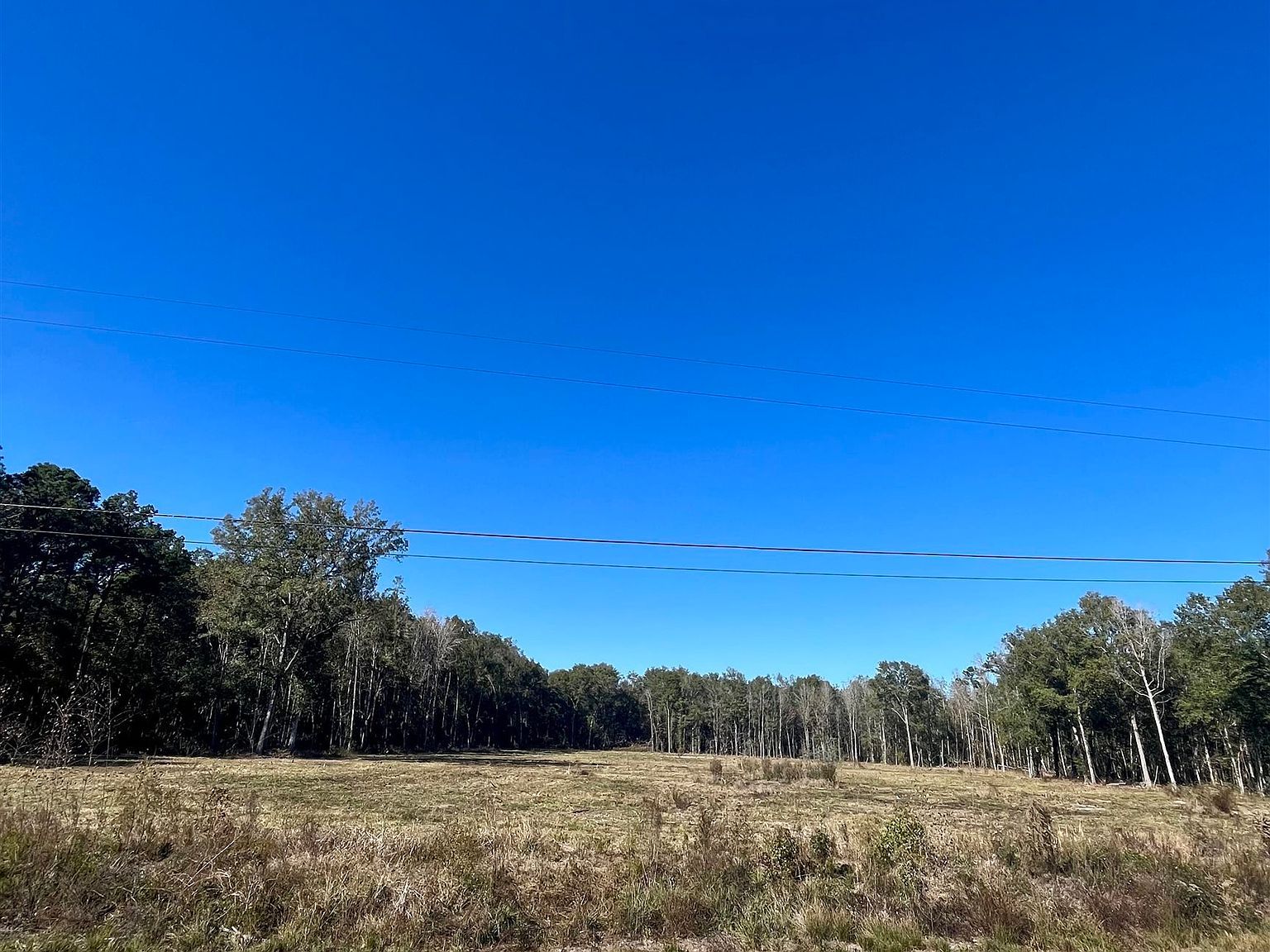 17810 Fm 1130 Orange, TX 77632 - Thumbnail 4