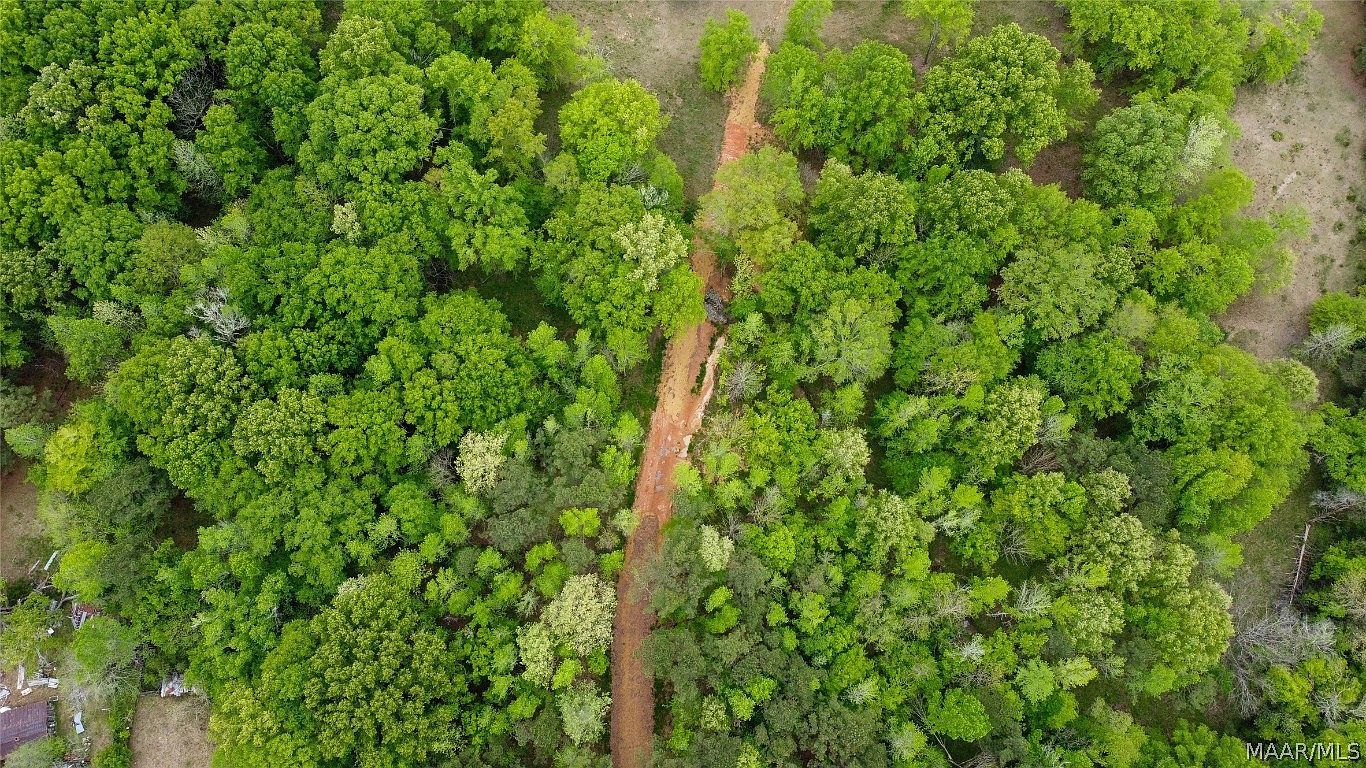 0 Pugh Rd Mathews, AL 36052 - Thumbnail 4