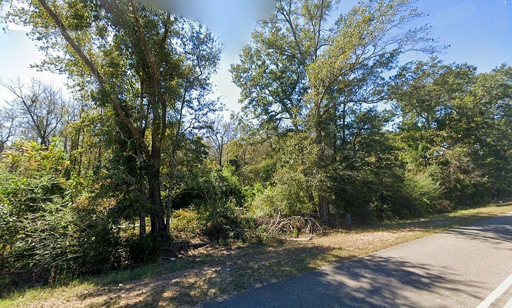 0 Glen Lawrence Rd Ashford, AL 36312 - Thumbnail 4