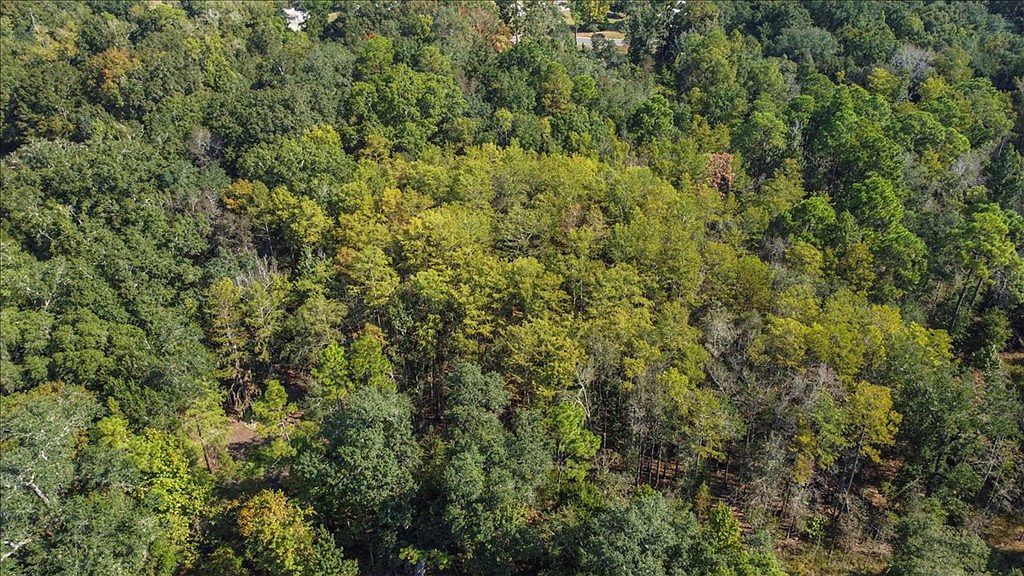 0 Cottonwood Rd Cottonwood, AL 36320 - Thumbnail 4