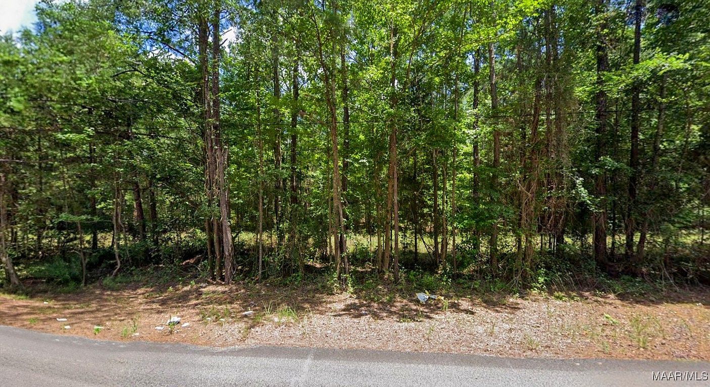 0 Lee Rd #175 Salem, AL 36874 - Thumbnail 4